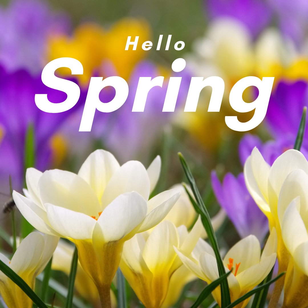 This time of the year I get antsy for my garden. Wishing everyone a happy first day of Spring!