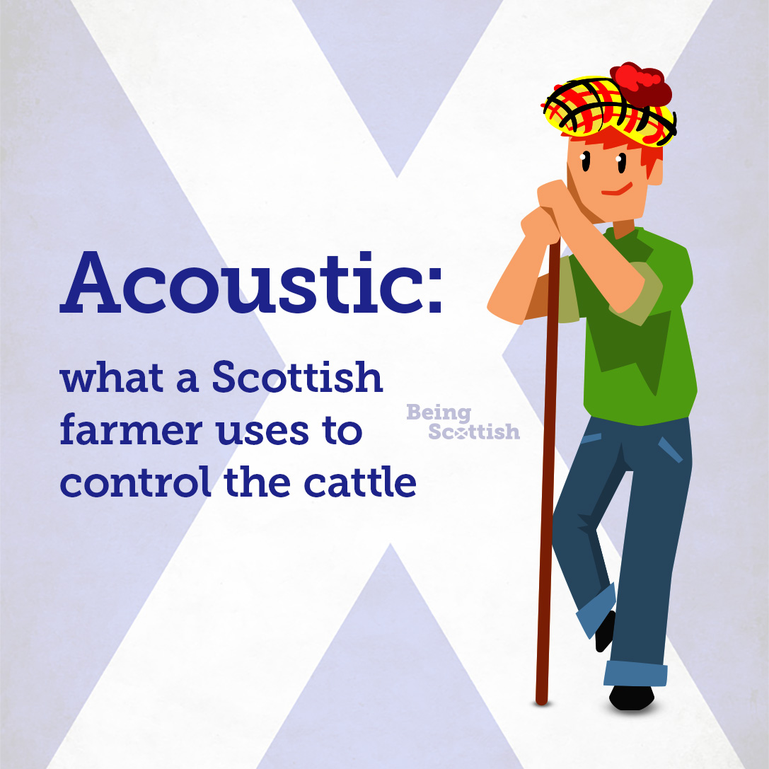 Being Scottish tweet media