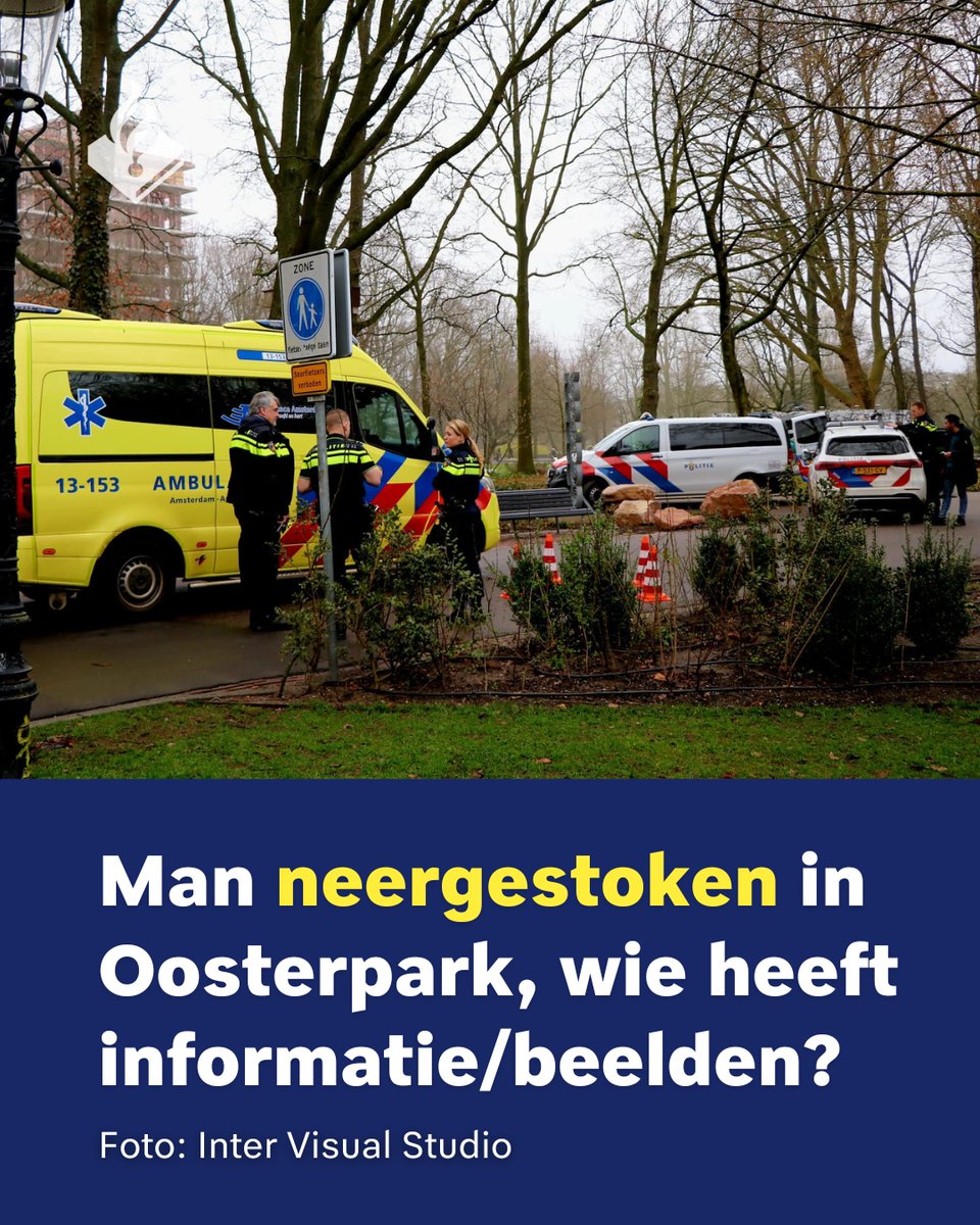 Op de vroege ochtend van zondag 19 maart 2023 vond in het Oosterpark in Amsterdam-Oost een steekincident plaats.