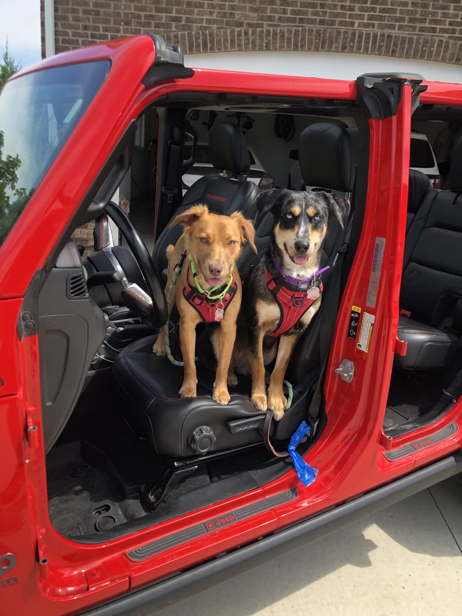 JCottonWalker's tweet photo. Happy “Gotcha Day” to Jetta &amp; Raya!  We’ve loved every sweet and challenging moment! ⁦Right?@DebraMW⁩ https://t.co/u9VJh2qPU3