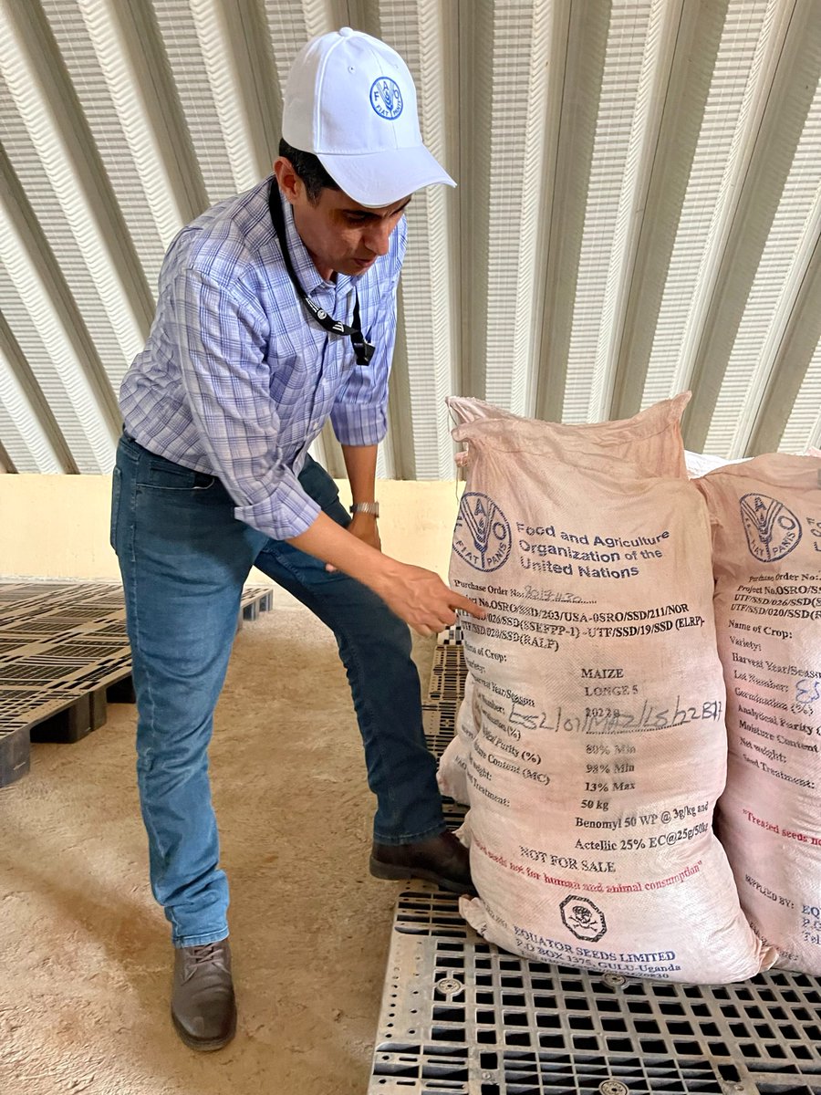 Our Head of Logistics Mohammed Sherah in the <a href="/FAO/">Food and Agriculture Organization</a> warehouse with the first shipment of maize seeds for the main growing season🌽

Thanks to <a href="/AfDB_Group/">African Development Bank Group</a> <a href="/WorldBankAfrica/">World Bank Africa</a>,  <a href="/USAIDSouthSudan/">USAID South Sudan</a> <a href="/NorwayinSSudan/">Norway | South Sudan</a>.