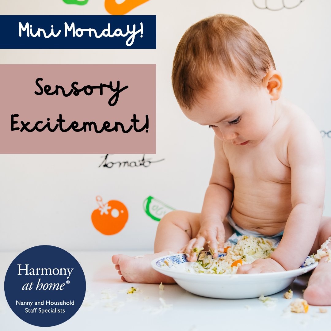 👉 Mini Monday! 👩‍🍼 Looking for fun activities to do with your little one? How about a sensory playdate! Set up a few sensory bins with rice, water, or pasta and let your baby explore with their senses.