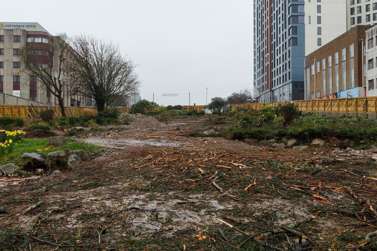 The recent spate of tree destruction has left people feeling justifiably angry. That anger is a manifestation of our love for nature, but we must not let it make us bitter. Let us transmute anger into action with this 🧵 of tree campaigns you can support &amp; actions you can take…