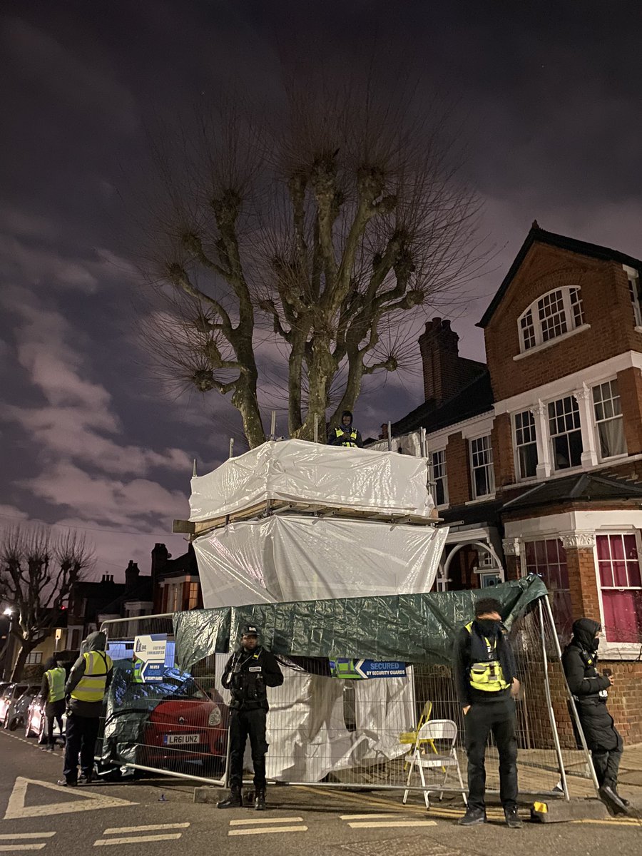 paulpowlesland's tweet photo. The recent spate of tree destruction has left people feeling justifiably angry. That anger is a manifestation of our love for nature, but we must not let it make us bitter. Let us transmute anger into action with this 🧵 of tree campaigns you can support &amp; actions you can take… https://t.co/zlRzNj4zB7