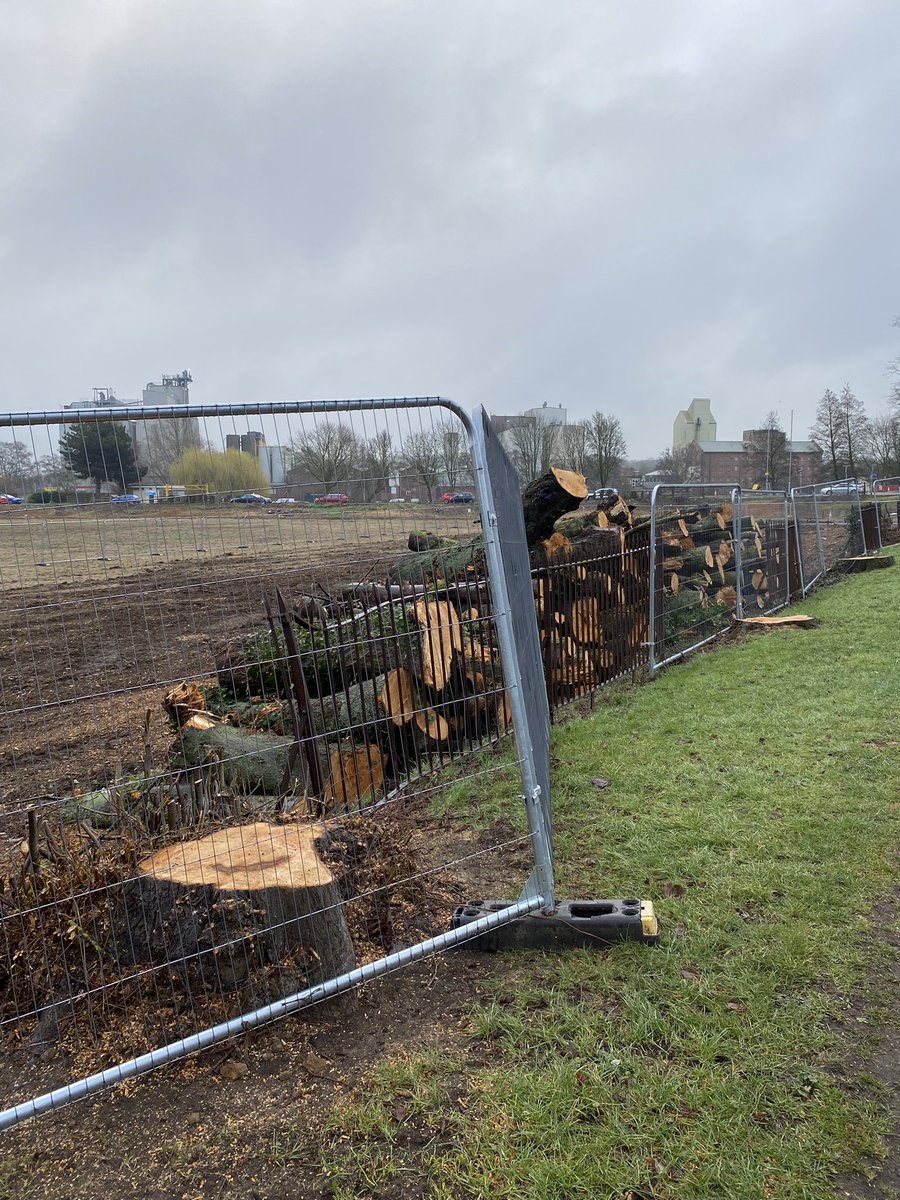 paulpowlesland's tweet photo. The recent spate of tree destruction has left people feeling justifiably angry. That anger is a manifestation of our love for nature, but we must not let it make us bitter. Let us transmute anger into action with this 🧵 of tree campaigns you can support &amp; actions you can take… https://t.co/zlRzNj4zB7