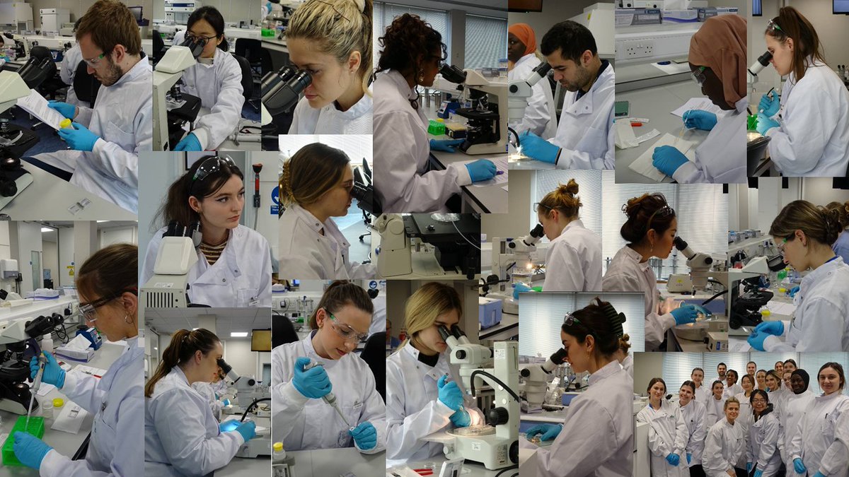 MSc in Clinical Embryology, University of Oxford tweet media