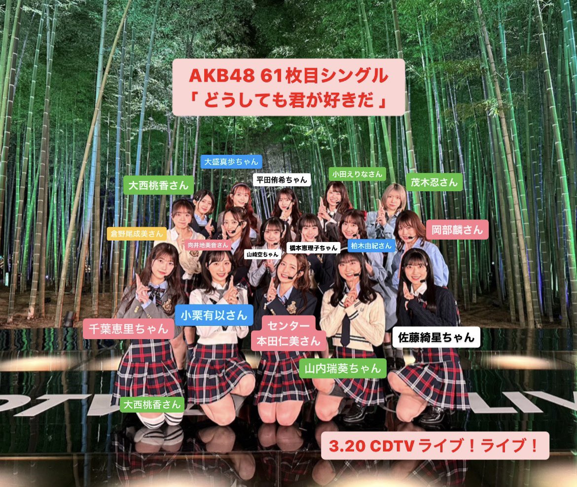 正規品質保証】 どうしても君が好きだ AKB48 general-bond.co.jp