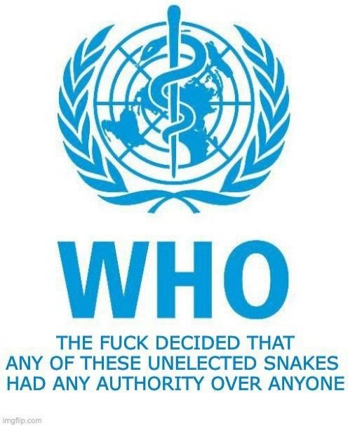 RehmatP786's tweet photo. @PanData19 @NickHudsonCT @bell00david Check out #vaccineinjuries #PfizerDocs #VaccineSideEffects #vaccinedeaths #CanWeTalkAboutIt #ReportAnInjury #React19Org #CWTAIC https://t.co/MEFrzADHqz