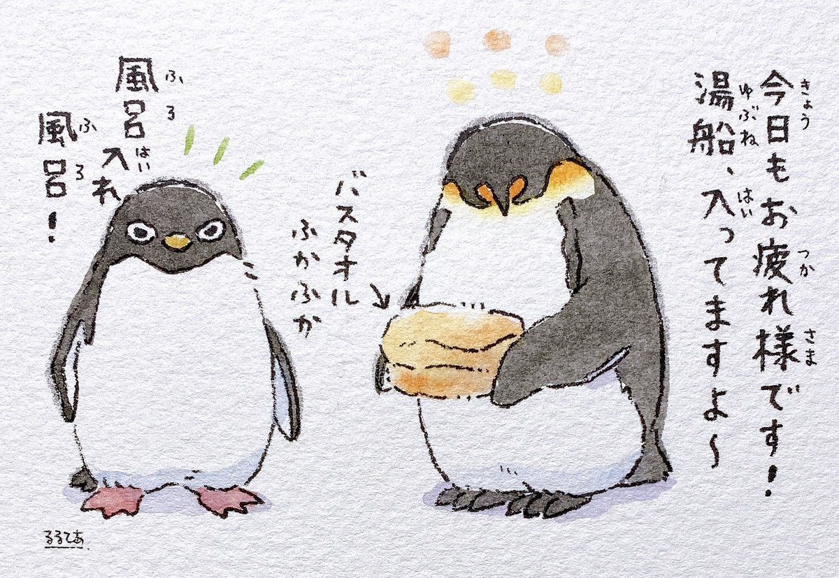 アデリーさん&大人のペンギンさん 