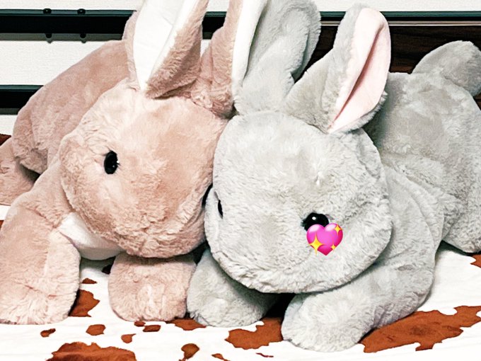 ゲーセンで出来のいいうさぎちゃんお迎え出来ました!!!!!!!
むちゃくちゃ可愛い( ˘ ³˘)♡ 