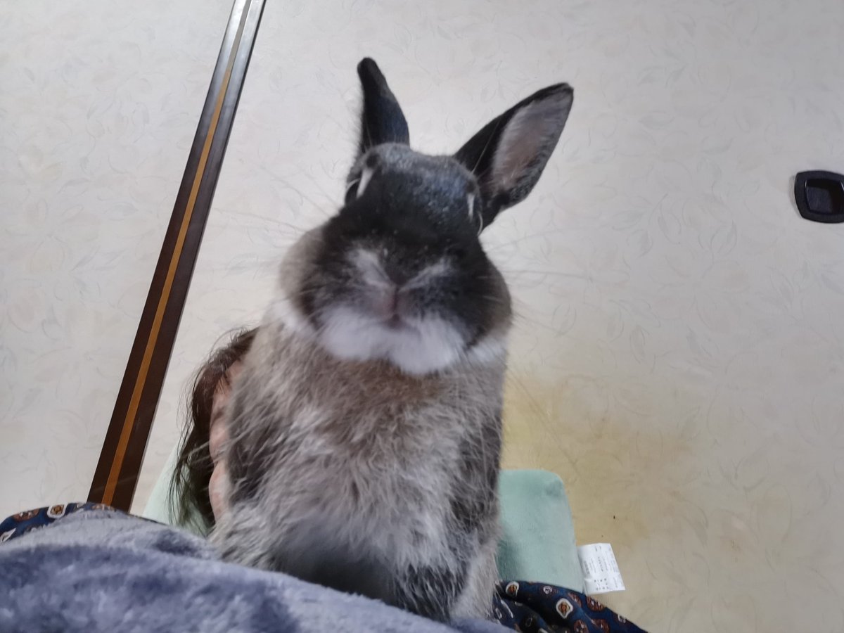 cozicakun0715's tweet photo. 娘が居なくなってからもうすぐ3ヶ月。あてがある訳じゃないけど…行ってきました、栃木県。今回は野岩鉄道沿いに北上し、会津尾瀬口まで行き、塩原温泉経由、那須へ。雪だったよ⛄寒かったなぁ…。でも！引き続き行きます！何度でも行きます！Bくんも、お留守番頑張ってるよ！ https://t.co/xFNHbEOG3Y