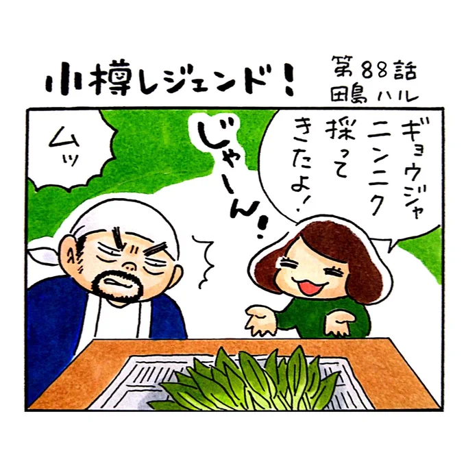 小樽のフリーペーパー「小樽チャンネルmagazine」3月号発行されました。漫画 #小樽レジェンド !第88話載ってます。北海道の春を告げる山菜のギョウジャニンニク。そのギョウジャニンニクと似た有毒植物があるのをご存じでしょうか。たるこの父がその見分け方をレクチャーするよ!#漫画 #小樽 #北海道 