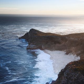 Vida Verda tweet media