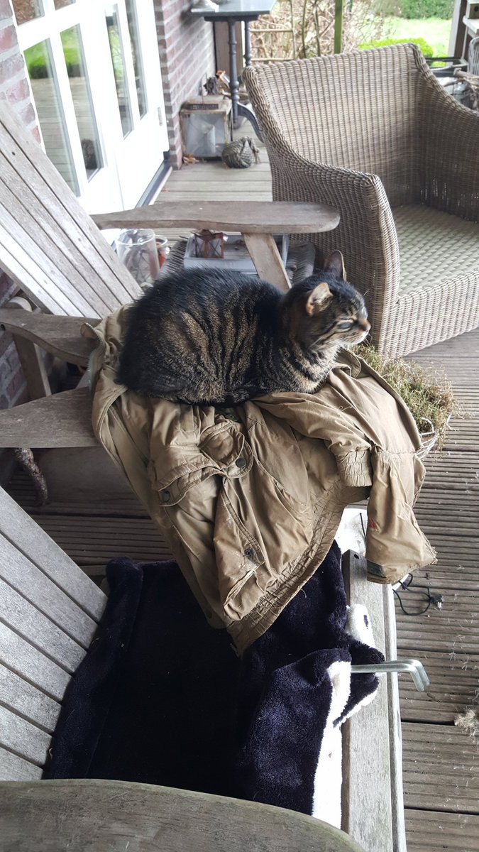 Bea Schepel🚜🚑🇺🇦⚓ tweet media