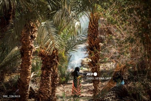Au coeur d'une synagogue de la palmeraie d'Akka, deux archéologues, un Marocain et un Israélien, scrutent le sol à la recherche du moindre fragment, témoin de la présence juive millénaire dans les oasis du Sud du Maroc. lepoint.fr/monde/dans-le-…