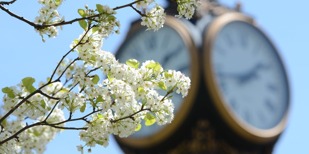 uakronadmission's tweet photo. Spring has sprung at The University of Akron, happy first day of spring #FutureZips! 🌸🌼🌷The colors are brighter, the air is fresher, and the possibilities are endless. 🦘☀️ https://t.co/vujTcA1Ekc