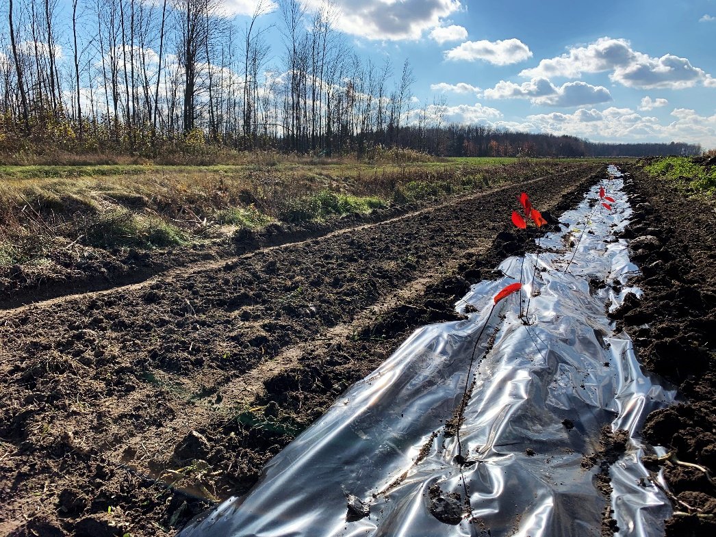 LeBulletin_com's tweet photo. Initiative ministérielle de rétribution agroenvironnementale: Plus de 1000 fermes engagées en agroenvironnement se partageront 29 M$.
https://t.co/gYWJAAEO6g
#pad #agroenvironnement #agriculture #retribution #mapaq #banderiveraine #plantesdecouverture #foin https://t.co/euMDQS3AVO