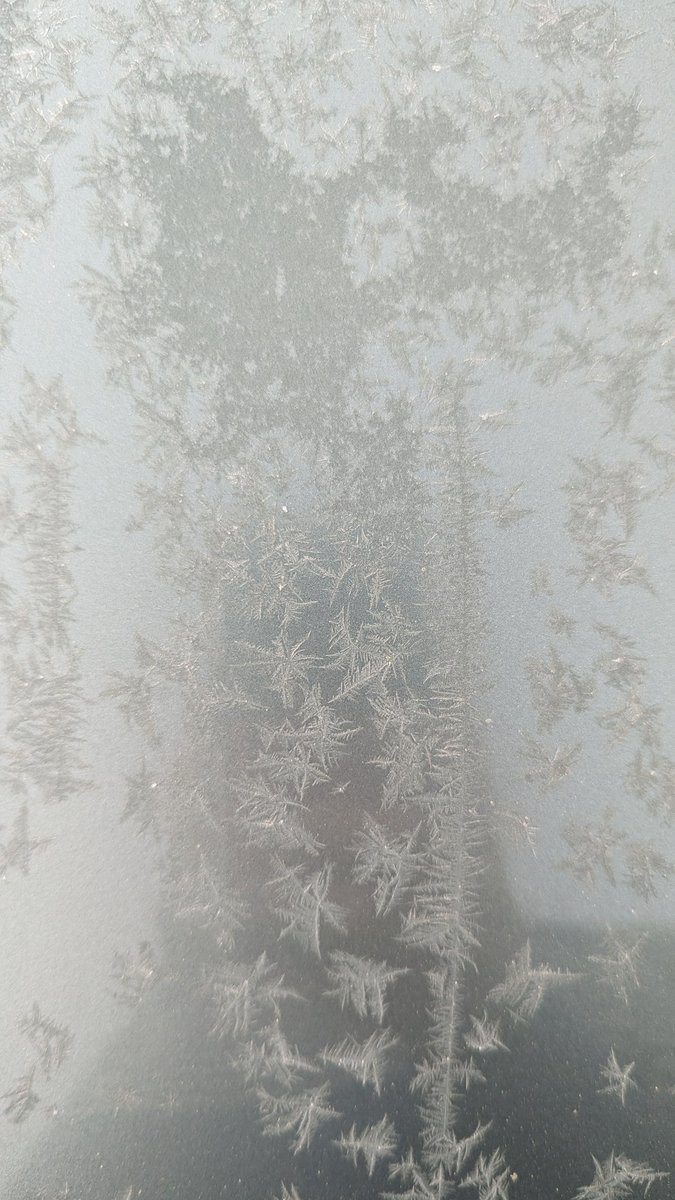 jmillican82's tweet photo. Hello Jack Frost, you can go back home now, it's Spring! 🤣🤦 https://t.co/xZM1NoYTV2
