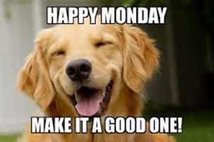 Happy Monday Everyone 😆 We hope you all had a lovely weekend and that this picture puts a big smile on your face 😆
#happymonday #mondaymotivation #mondaythoughts #mondayblues