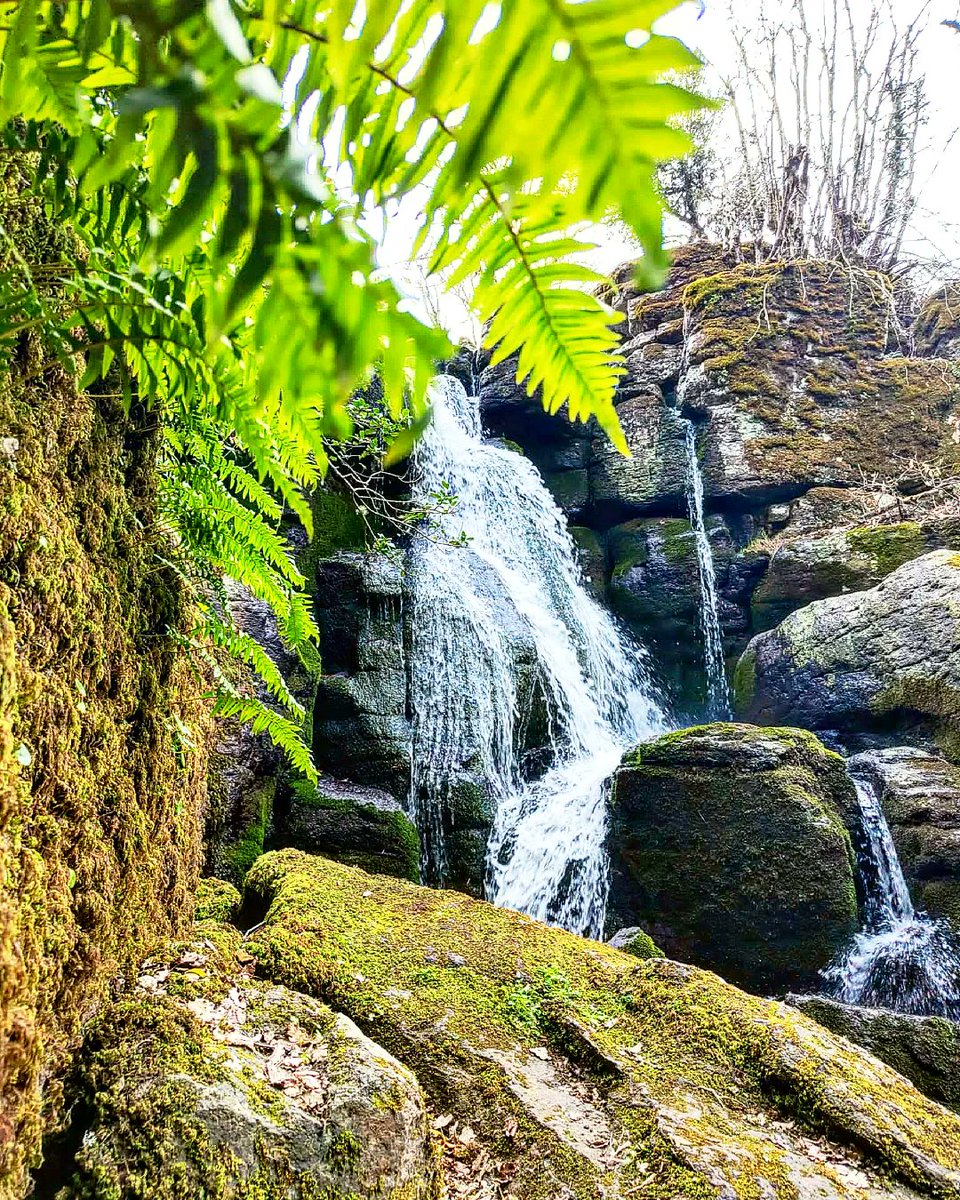 SamueleCau's tweet photo. Trasferta domenicale🧗‍♂️

🏚️🗿Rebeccu e
Necropoli Sant'Andrea Priu - Bonorva (SS) 

🏞️🕌 Cascate Mularza Noa e Villa Piercy - Badde Salighes (NU)

#Sardegna #domenica #excursion https://t.co/2sv2O5zK5w