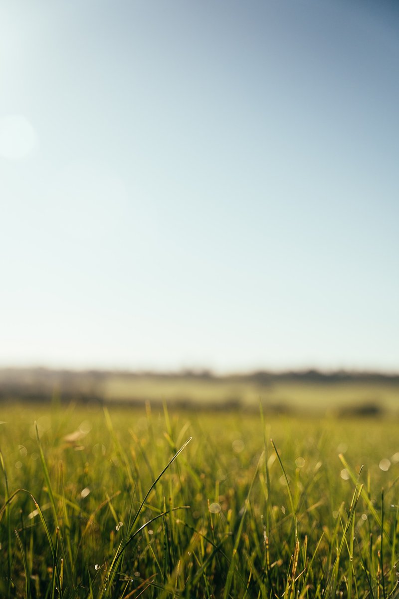 wykefarms's tweet photo. It's officially spring! We are looking forward to seeing the farm and landscape come to life with new growth over the coming months.
#springishere #officiallyspring #springequinox #firstdayofspring #wykefarms #Bruton #somerset #devon #englishcountryside https://t.co/GVAWeJL7wg