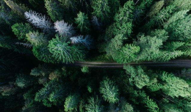 Orgullosa de trabajar para una empresa que se encuentra entre el top 8% por el compromiso con el cambio climático, según nuestra divulgación de CDP de 2022 🌱👇 #CDPSupplyChain bit.ly/3yN1dlf