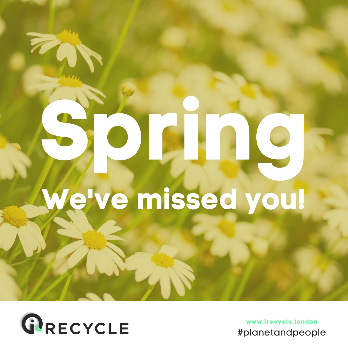 iRecycle Waste Management Ltd tweet media