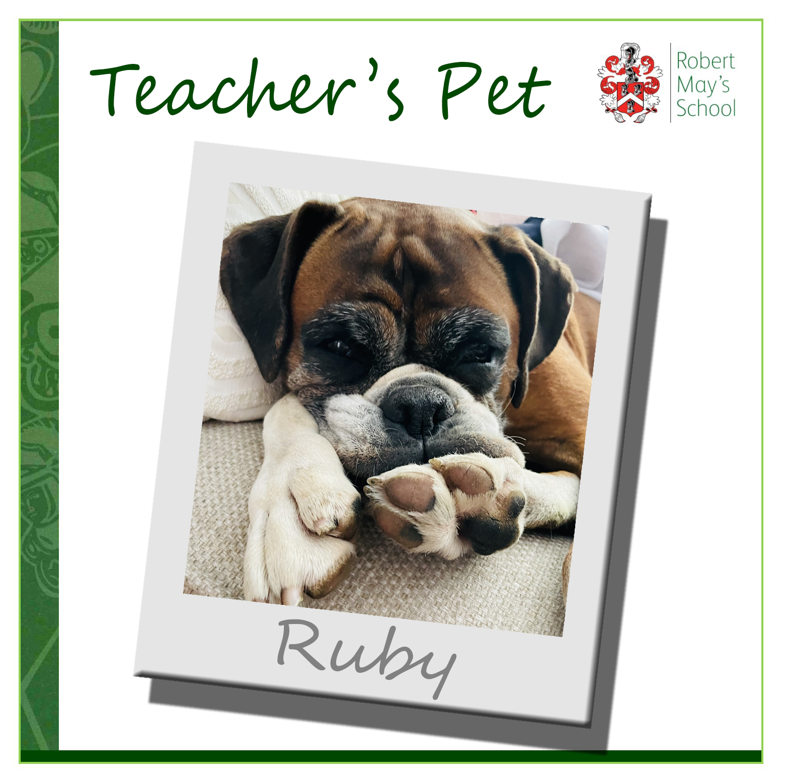 Robert May's School Official on Twitter "Each week we show you a pet belonging to a Staff