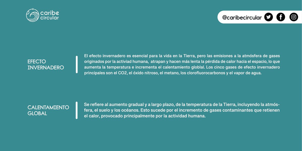 CaribeCircular's tweet photo. Hoy en #CambiatuHábito #CambiatuHabitat 

¿Sabías que los bosques capturan carbono de la atmósfera y liberan oxígeno enfiando así el planeta, lo que reduce el efecto invernadero?

¡Plantemos en lugar de talar!

#CaribeCircular #CCADSICA #GIZ
#UniónEuropea #BmzBund #SemaQRoo https://t.co/CaU9FjTgiJ