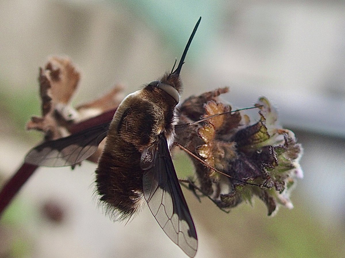 aes1500 🇺🇦 （誤同定マスター） tweet media