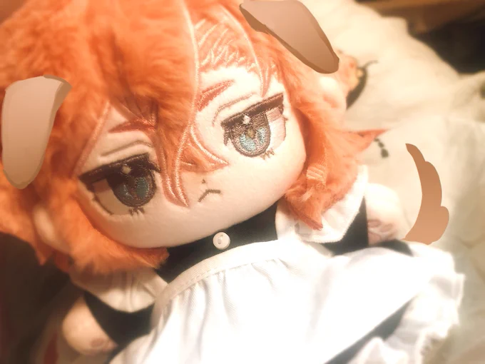 m( =∩ω∩= )m不管狗还是猫都可以···· 