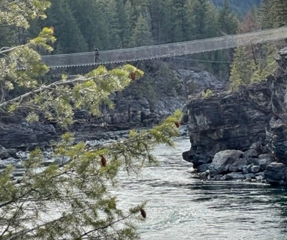 EchoSprings_ID's tweet image. Looking for a bridge over troubled water?

This outing included a stop at Kootenai Falls in Montana. The swinging bridge straddles the Kootenai River.

#echosprings #echospringstransitionstudycenter  #freshstartforyoungadults #findyourpath #empoweringyoungadults