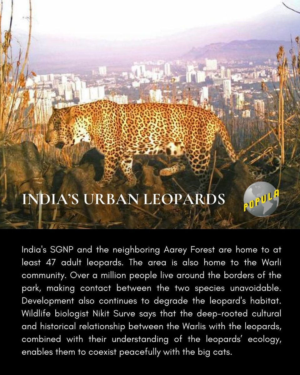 WCS-India tweet media