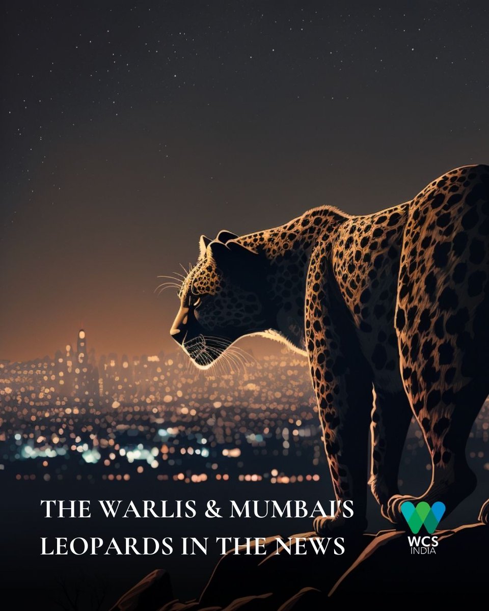 WCS-India tweet media