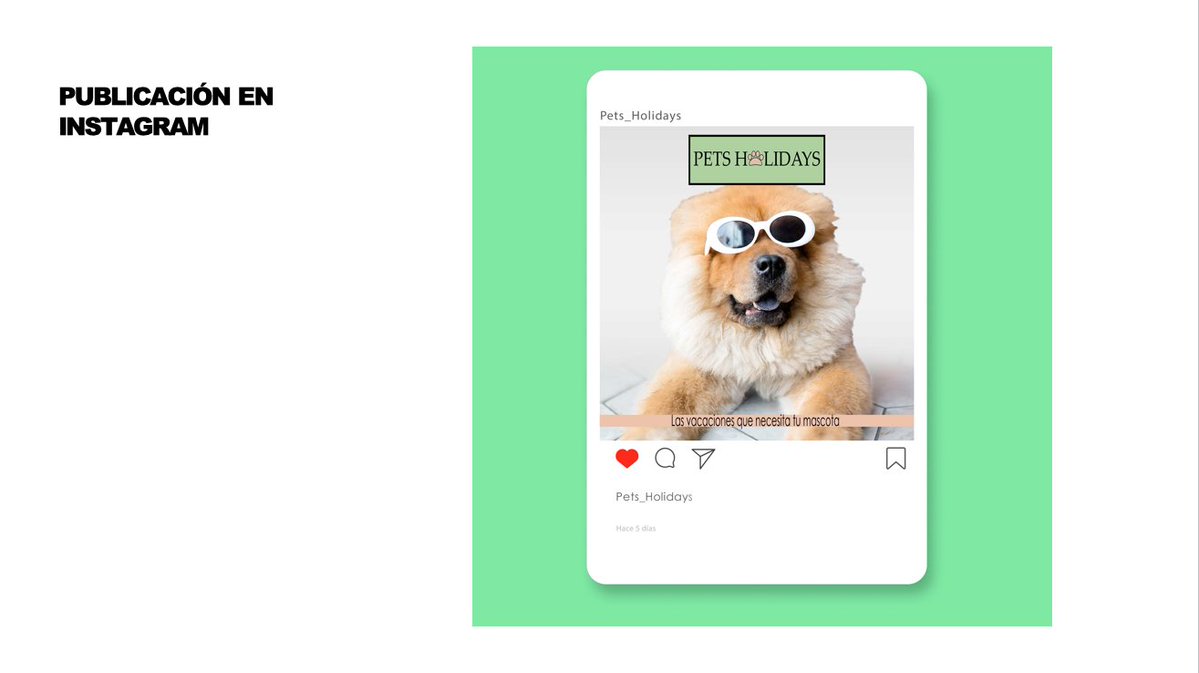 NettDigital's tweet photo. ¡Seguimos con Pets Holidays de @IreneCommunity !

Su idea de negocio es la de un gran hotel de uso exclusivo para los más peluditos de la casa🐶🤩. 

"Las vacaciones que necesita tu mascota" 😛👏
#MasterMPD #Proyecto360 #NETTCommunity https://t.co/5pYCyts1gE
