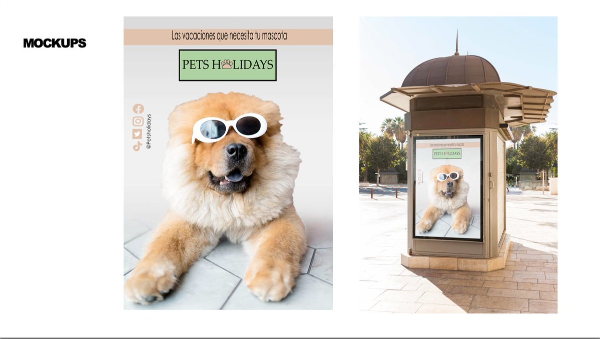 NettDigital's tweet photo. ¡Seguimos con Pets Holidays de @IreneCommunity !

Su idea de negocio es la de un gran hotel de uso exclusivo para los más peluditos de la casa🐶🤩. 

"Las vacaciones que necesita tu mascota" 😛👏
#MasterMPD #Proyecto360 #NETTCommunity https://t.co/5pYCyts1gE