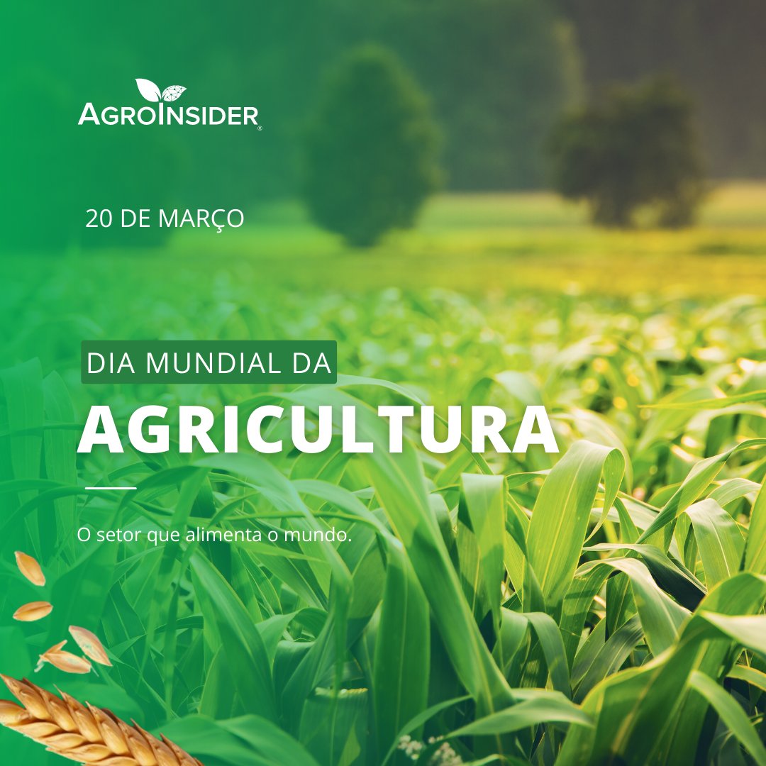 AgroInsider's tweet photo. Agriculture is the sector that feeds the world and drives the economy. 

Recognizing how important the sector is to people's lives is the best way to celebrate World Agriculture Day. 🌱💚

#agroinsider #agricultura #agriculture #diamundialdaagricultura #worldagricultureday https://t.co/K3tskIBte7