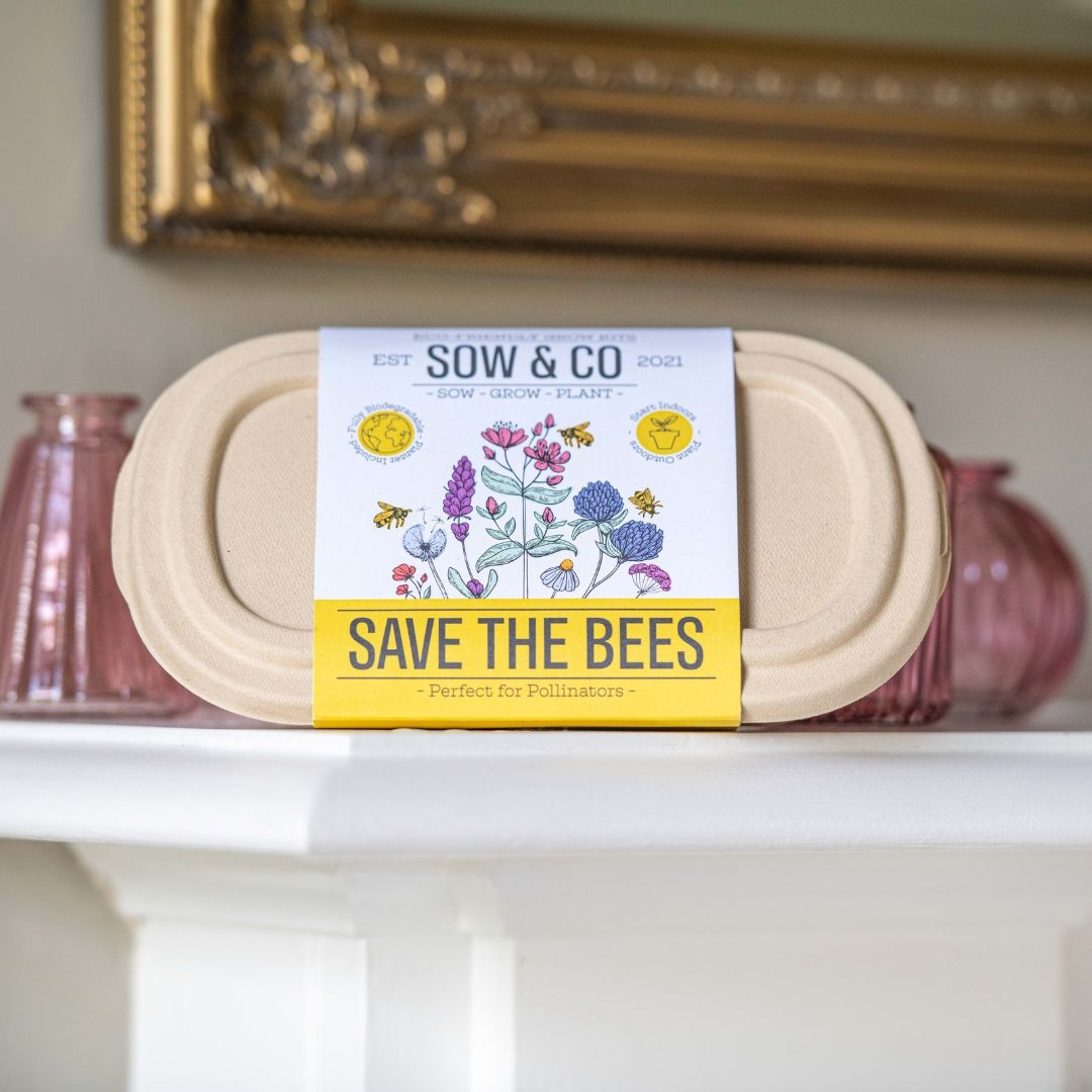 Prezzybox tweet media