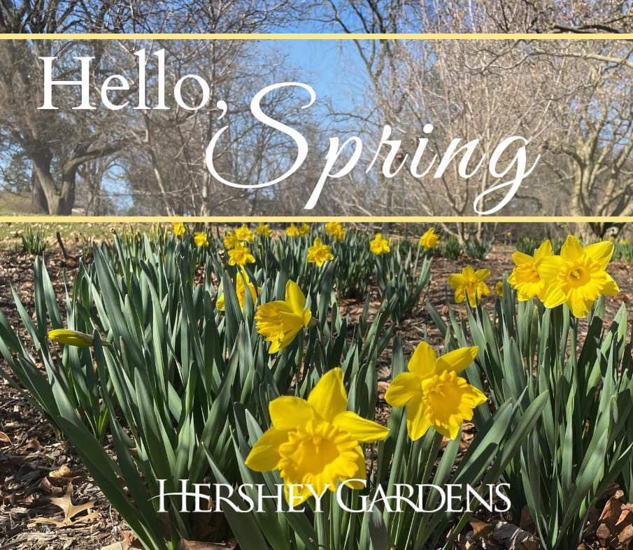 hersheygardens's tweet photo. Happy first day of spring! #hersheygardens #HersheyPA #spring #FirstDayofSpring #firstdayofspring2023 #Spring2023 #springishere https://t.co/rSM2E0z9ft