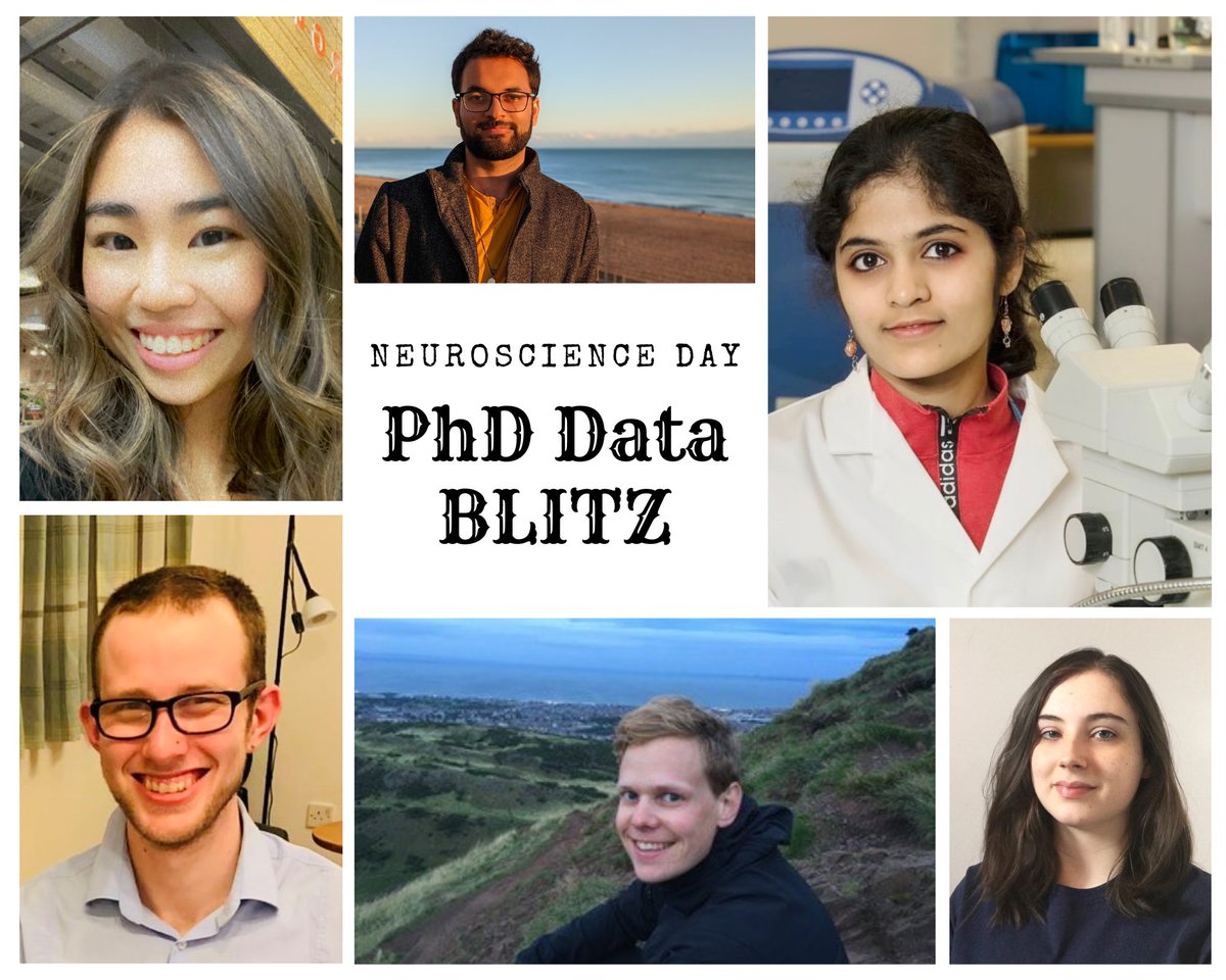 Congratulations to our students for their lightening talks on #EdNeuroDay 😃 It was a great hit among the delegates! Well done 👏 L-R: Kelly Panichnantakul, Arish Mudra Rakshasa, Nithya Nair, Michael Sewell, Philip Braaker, Emma Wilson #neuroscience #PhDtalk