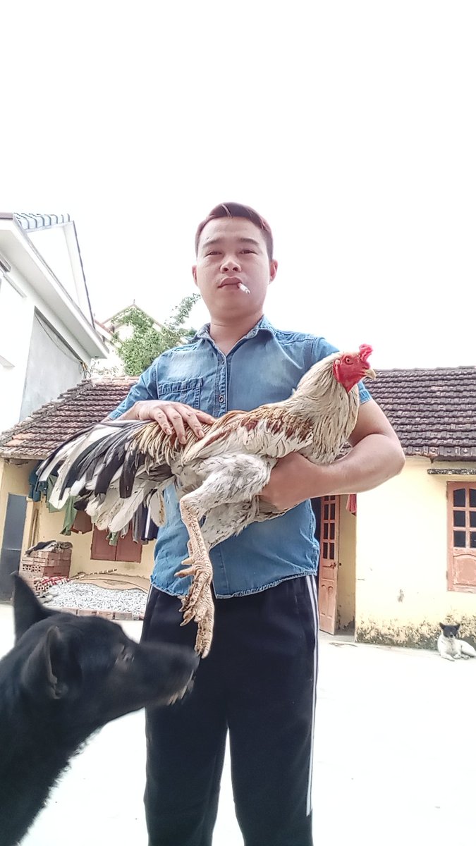 Henry_art26's tweet photo. #chicken https://t.co/kobJmE4U6J