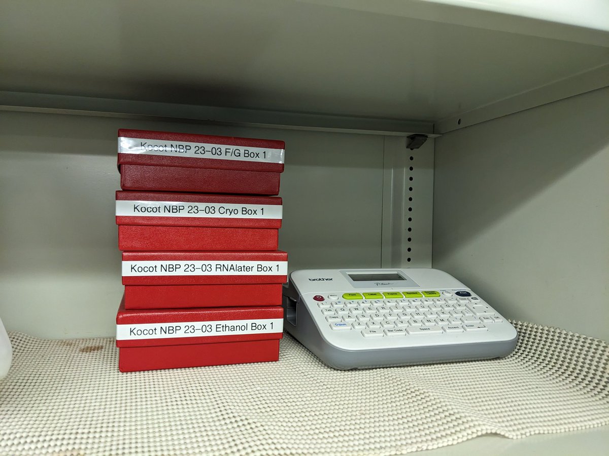We. Are. Ready! Read today's #IcyInverts blog post by yours truly for details: icyinverts.com/shipboard-blog… #SweatTheSmallStuff #AntarticWorms