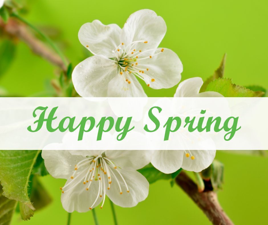 unified_wealth's tweet photo. Spring has sprung! Along with your spring cleaning, does your financial plan need attention? We're here to help! https://t.co/omJc9tvK35