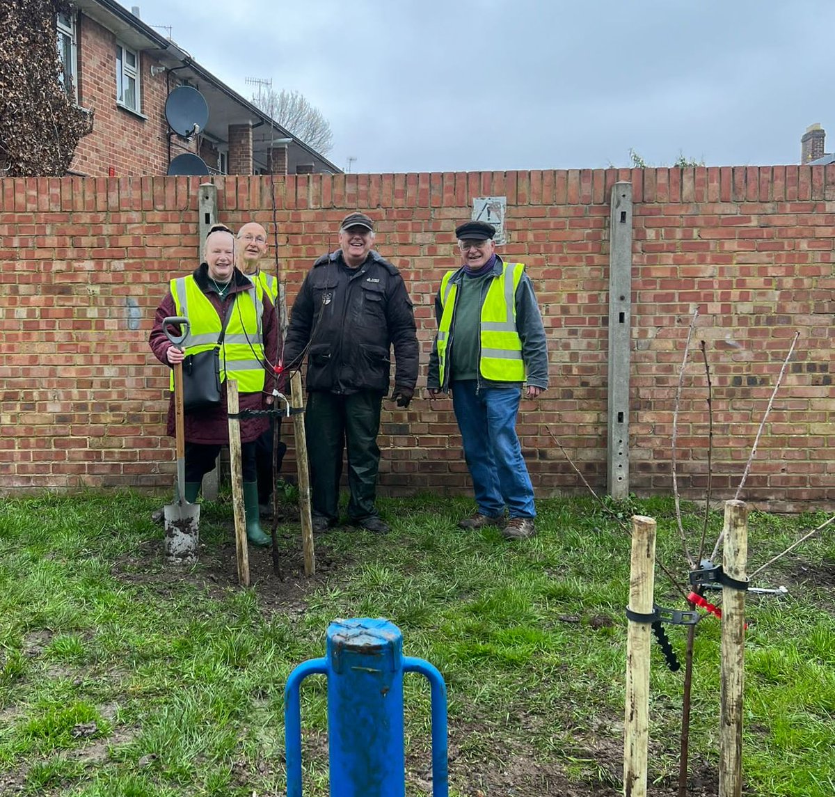 10 fruit trees planted on 18 March at Sydney House and King Street with Cllrs Kirsty Mellor, Yinka Adeniram and Cal Corkery, Ian Turner of the Tree Council Major Tree Projects lent a hand as did Tracey from the Stacey Centre garden. Good effort!