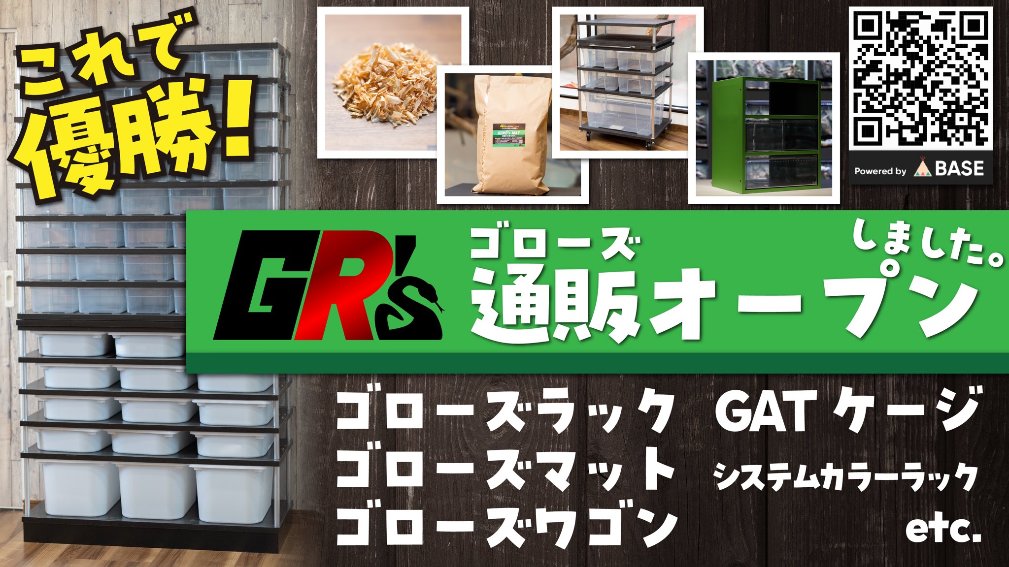 ゴロー【GORO's】爬虫類の専門家 on X: 