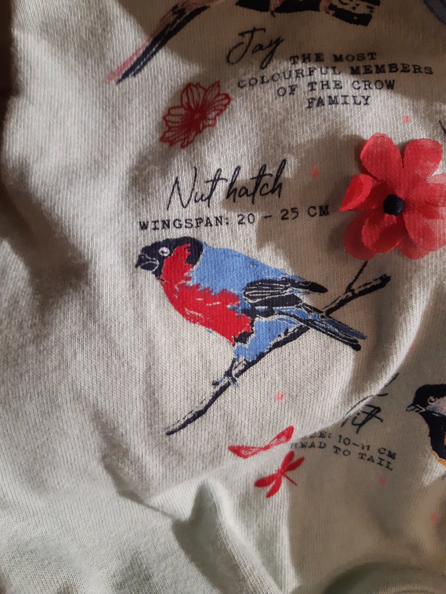 Norf_Viz_Mig's tweet photo. Oh @FatFace, no, no, no! Your kids jumpers are going to spawn a generation of bad birdwatchers! That's a Bullfinch! #IDfail https://t.co/GFYuQKCHfH