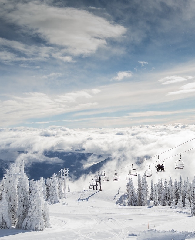 redresort tweet media