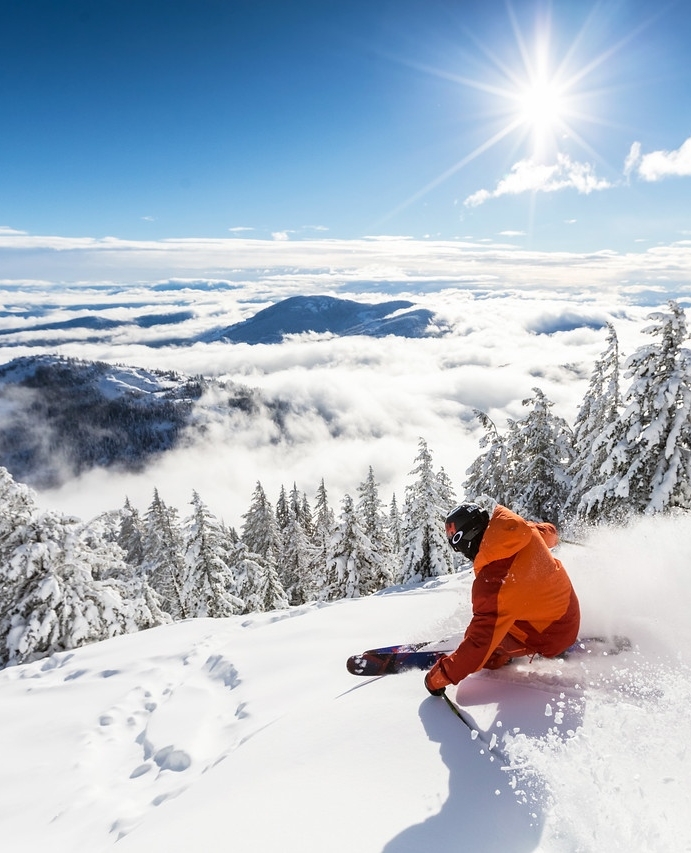 redresort tweet media