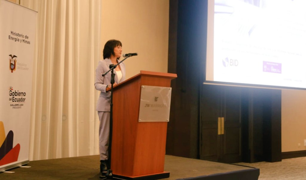 ViceminEnergia's tweet photo. La Representante Senior de la Consultora #Fichtner, Adriana Gómez Mejía, indica que Ecuador cuenta con el potencial adecuado para el uso de #HidrógenoVerde; esto representaría una disminución del costo de tecnologías para la producción energética.
#EnergíaConPropósito https://t.co/rxuxAidNl2