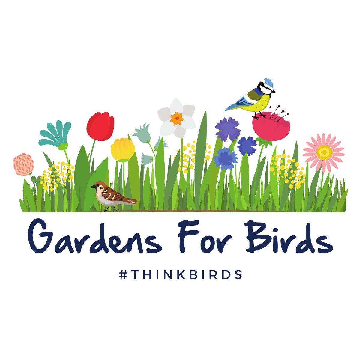 YorkSue's tweet photo. Thanks to @JoanitaMusisi  and @BBCYork  for having me on today to talk about Gardens for Birds our new @SongBirdSBS  campaign. Great to share tips to #thinkbirds this spring when you're gardening.  https://t.co/1nBy5nC0Od https://t.co/T6JHCs3VnS